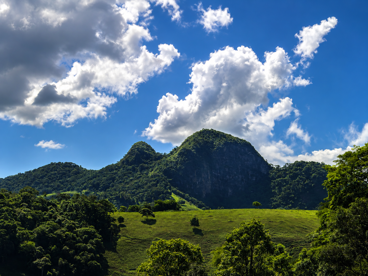 Sítio Natural Pedra Branca